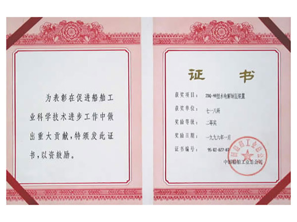 一九九六年科技进步二等奖